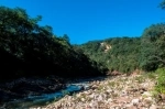 Pizarro National Reserve.  General Pizarro - ARGENTINA