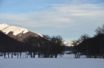 Cerro Castor, Usuahia, Ski Center, Argentina.  Ushuaia - ARGENTINA