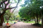 Moinhos de Vento Park, Guide of Attractions of Porto Alegre. Brazil.   - BRAZIL