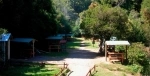 Termas Aguas Calientes, Puyehue, Information, what to see, what to visit, Access.  Puyehue - CHILE