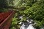 Geometric Baths, Pucon. How to get there, entrance, tour, reservations, Information.  Pucon - CHILE