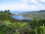 Waitakere Ranges Regional Park, Auckland, New Zealand. Guide, Information.   - New Zealand