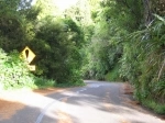 Waitakere Ranges Regional Park, Auckland, New Zealand. Guide, Information.   - New Zealand