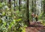 Arvi ecotourism park, Medellin. Colombia. National parks in Colombia.  Medellin - COLOMBIA