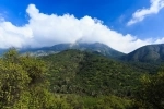 La Campana National Park. Chile National Park.  Olmue - CHILE