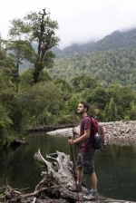 Alerce Andino National Park.  Puerto Montt - CHILE