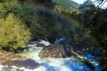 Alerce Andino National Park.  Puerto Montt - CHILE