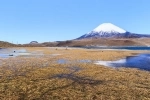 Chungara Lake, Putre, Arica.  Arica - CHILE