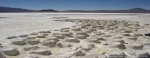 Natural Monument Salar de Surire.  Putre - CHILE