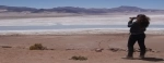 Pampa del Tamarugal national reserve, Atacama.  Iquique - CHILE