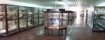 Museum of Natural Science Domingo Faustino Sarmiento.  Mendoza - ARGENTINA
