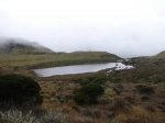 Los Nevados National Natural Park, Ibague. Colombia.  Ibague - COLOMBIA