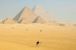 Pyramids of Giza, guide of attractions of Cairo, Egypt..  Cairo - Egypt