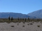 Los Cardones National Park, National Parks, Argentina, Salta.  Payogasta - ARGENTINA