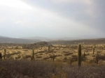 Los Cardones National Park, National Parks, Argentina, Salta.  Payogasta - ARGENTINA