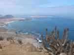Pan de Azucar National Park - Antofagasta.  Antofagasta - CHILE