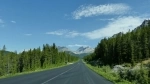 Jasper National Park, Jasper, Alberta. Canada.   - CANADA