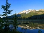 Jasper National Park, Jasper, Alberta. Canada.   - CANADA