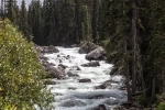 Jasper National Park, Jasper, Alberta. Canada.   - CANADA