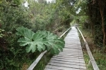 Chiloe National Park, Chiloe Guide, Hotels, national Park.  Chiloe - CHILE