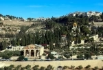 Mount of Olives, Jerusalem. Israel. Jerusalem attractions guide.   - Israel