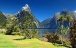 Fiordland National Park, New Zealand.   - New Zealand