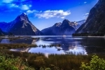 Fiordland National Park, New Zealand.   - New Zealand