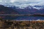 Conguillío National Park.  Lonquimay - CHILE