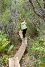 Path to Cerro La Bandera.  Caleta Tortel - CHILE