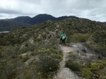Path to Cerro La Bandera.  Caleta Tortel - CHILE