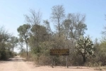 Copo National Park.  Santiago del Estero - ARGENTINA