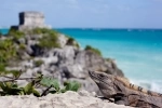 Tulum, General information. what to see, what to do. Mexico.  Cancun - Mexico