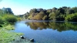 Licura River.  Pucon - CHILE