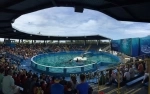 Miami Seaquarium. Miami attractions guide. what to do, what to see, information.  Miami, FL - UNITED STATES
