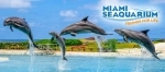 Miami Seaquarium. Miami attractions guide. what to do, what to see, information.  Miami, FL - UNITED STATES