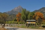 La Campana National Park. Chile National Park.  Olmue - CHILE