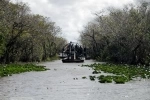 Everglades National Park is a World Heritage Site and is located in the southeastern corner of the United States in the state of Florida..  Miami, FL - UNITED STATES