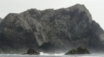 Chañaral Island.  Punta de Choros - CHILE