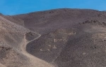 Geoglyphs of Pintados.  Iquique - CHILE