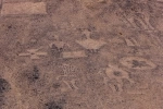 Geoglyphs of Pintados.  Iquique - CHILE