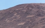 Geoglyphs of Pintados.  Iquique - CHILE