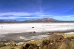 Natural Monument Salar de Surire.  Putre - CHILE