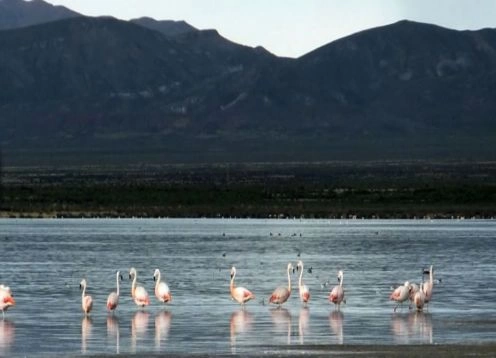 Natural Monument Laguna de los Pozuelos