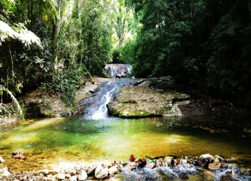 National Park and Floresta da Tijuca, 