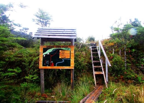 Path to Cerro La Bandera, Caleta Tortel