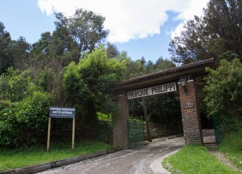 Philippi Park, Puerto Varas