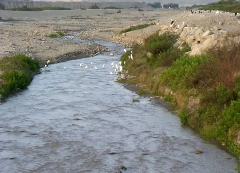 Lluta River, Arica