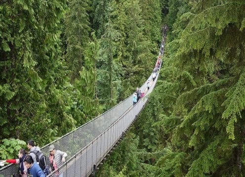 Capilano Suspension Bridge, 