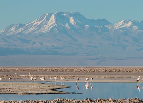 Chaxa Lagoon, San Pedro de Atacama