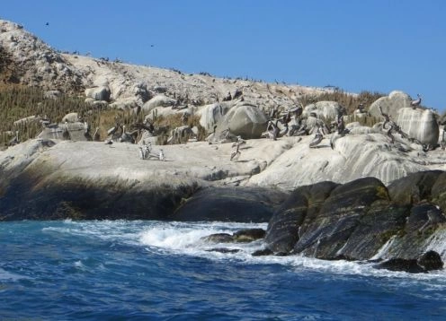 Cachagua Island natural monument, Cachagua